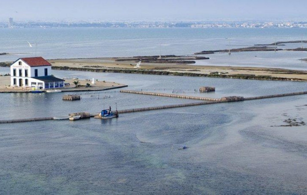 Nieuwbouw - Villa - San Pedro del Pinatar - CENTRO